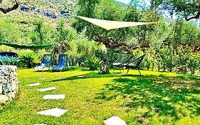 The Secret Garden At Villa Georgia Kalamata